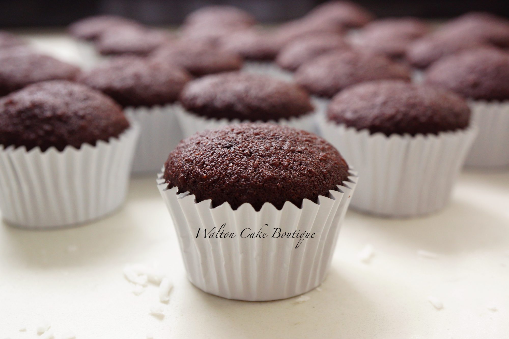 Chocolate Coconut Mini Cupcakes